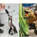 お城の動物園だより60 〜 エサやり体験イベント