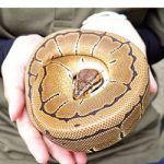 【和歌山】お城の動物園だより62 〜 特別な思い出づくり